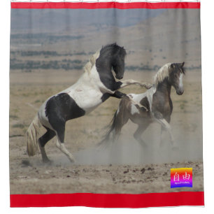 WILD HORSES OF UTAH PINTO FIGHTING SHOWER CURTAIN