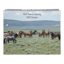Wild Horses of Wyoming