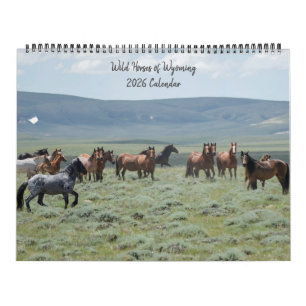 Wild Horses of Wyoming Calendar