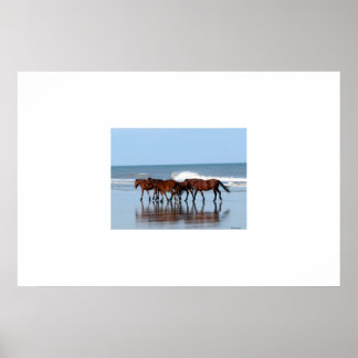 Wild Horses on the Beach Poster
