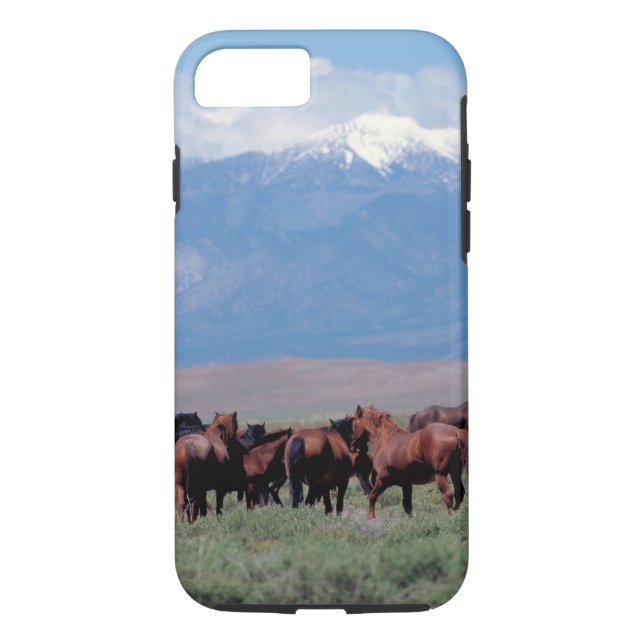Wild Horses Out West iPhone 7 Case (Back)