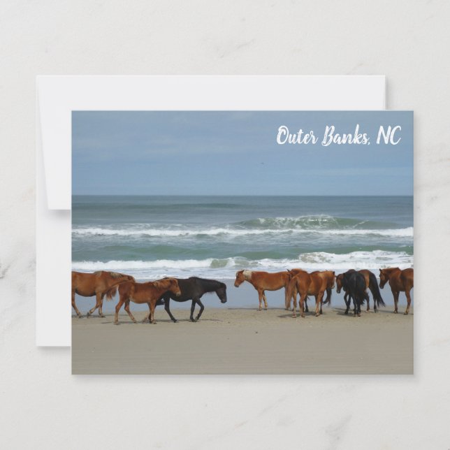 Wild Horses Outer Banks OBX Corolla NC Card (Front)