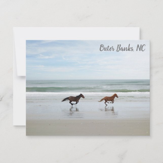 Wild Horses Outer Banks OBX Corolla NC Card (Front)