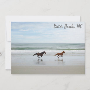 Wild Horses Outer Banks OBX Corolla NC Flat Card
