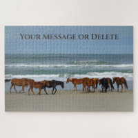 Wild Horses Outer Banks OBX Corolla NC