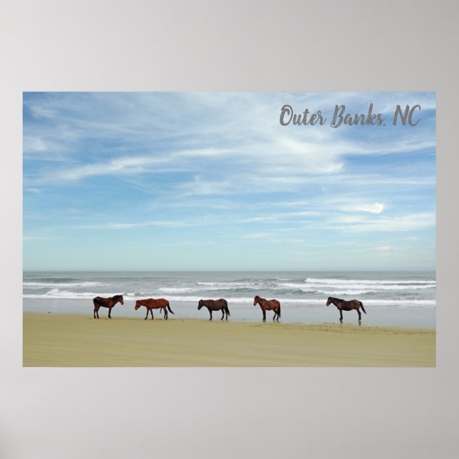 Wild Horses Outer Banks OBX Corolla NC Poster (Front)