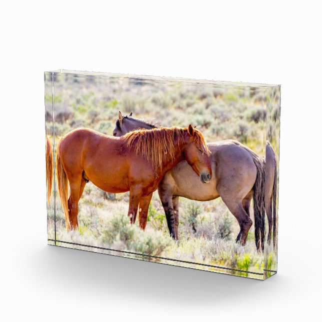 Wild Horses Photo Block (Right)