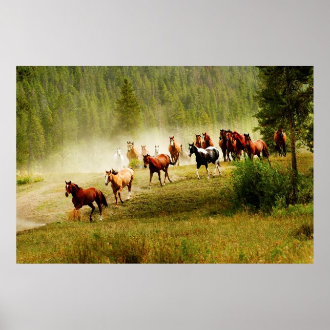Wild Horses Poster (Front)