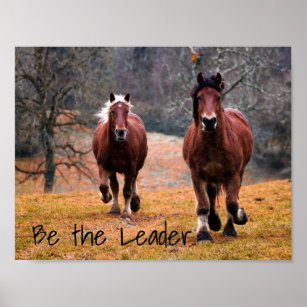 Wild Horses Racing in Woods Poster