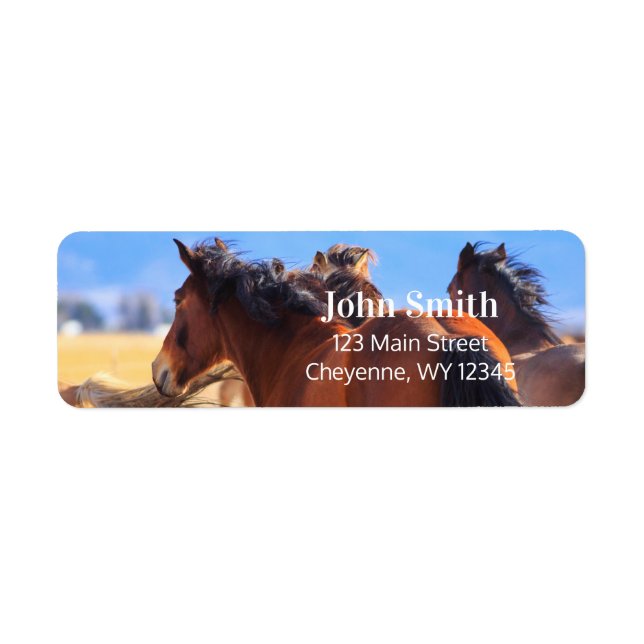 Wild Horses Return Address Label (Front)