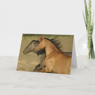 Wild Horses Returning to Freedom Card
