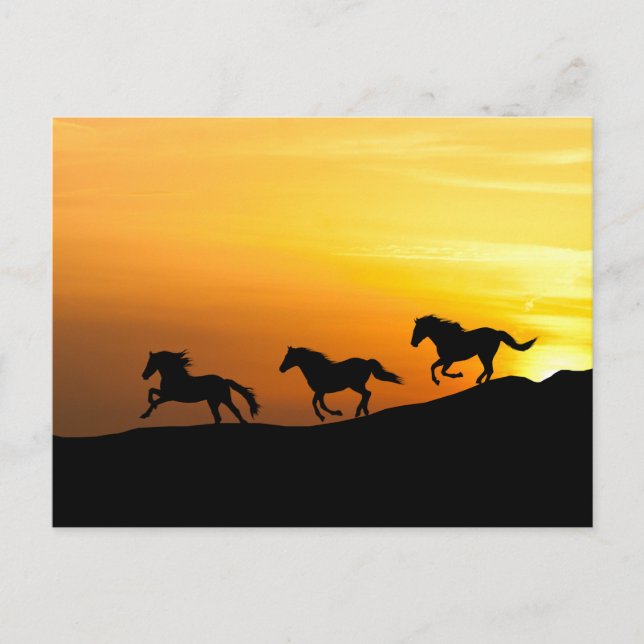 Wild Horses running at Sunset- Horse Lover Designs Postcard (Front)