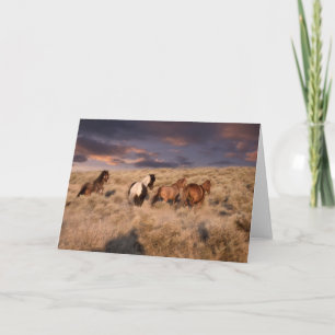Wild Horses Running Card