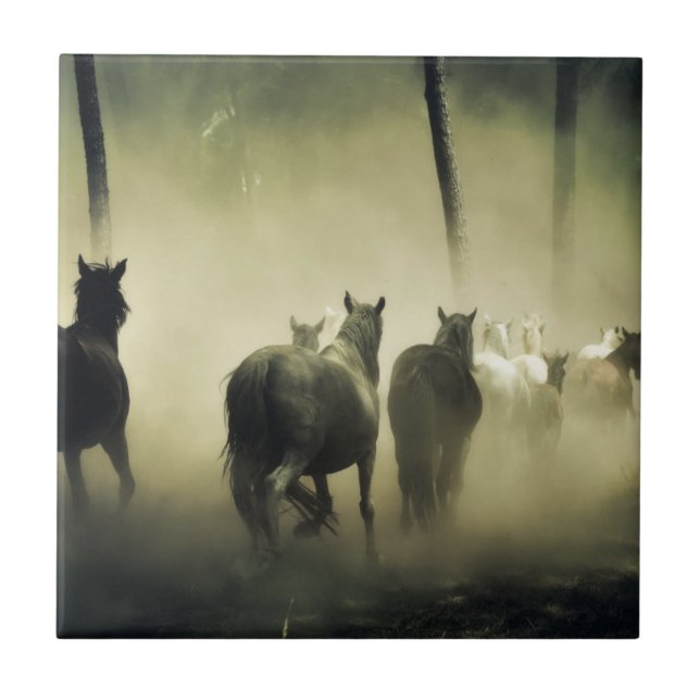 Wild Horses Running Ceramic Tile (Front)