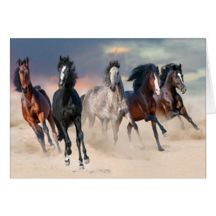 Wild Horses Running Free