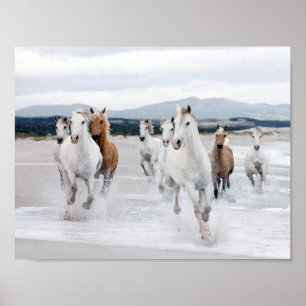 Wild Horses Running on the Beach Poster