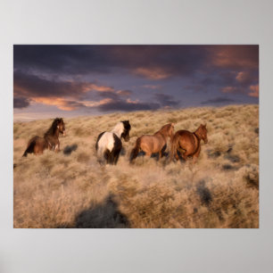 Wild Horses Running Poster
