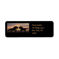 Wild Horses Silhouette