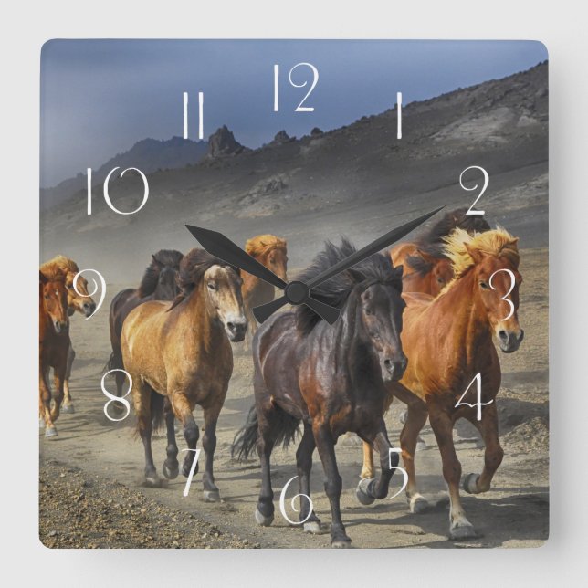 Wild horses square wall clock (Front)