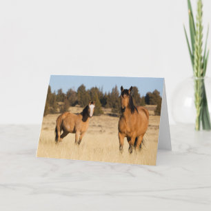 Wild Horses, Steens Mountains Card