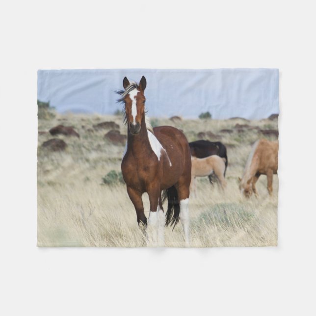 Wild Horses, Steens Mountains Fleece Blanket (Front (Horizontal))