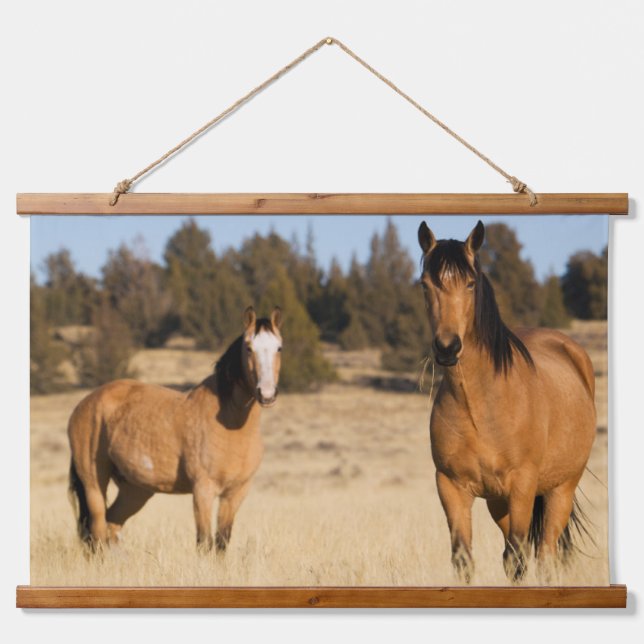 Wild Horses, Steens Mountains Hanging Tapestry (Front)