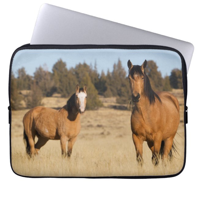 Wild Horses, Steens Mountains Laptop Sleeve (Front)