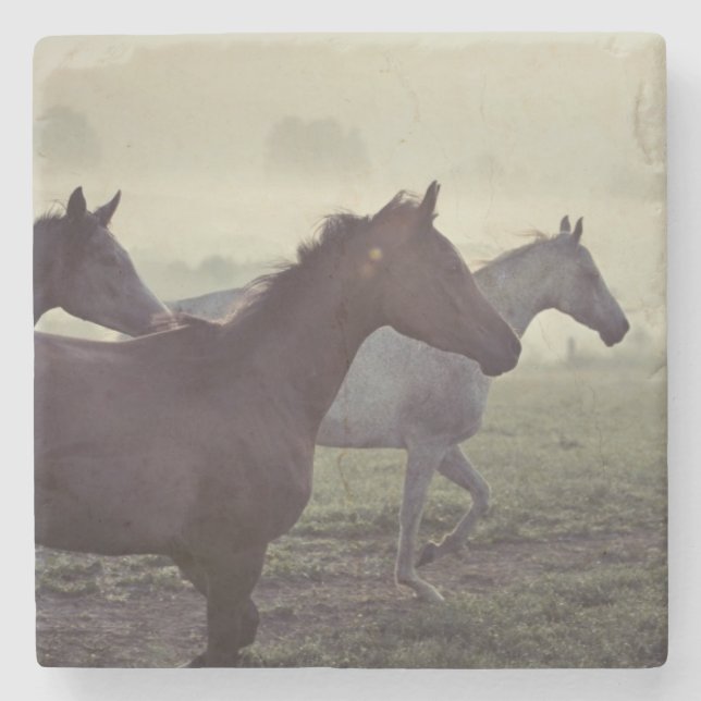 Wild horses stone coaster (Front)
