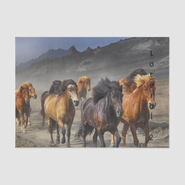 Wild Horses Tissue Paper (Front)