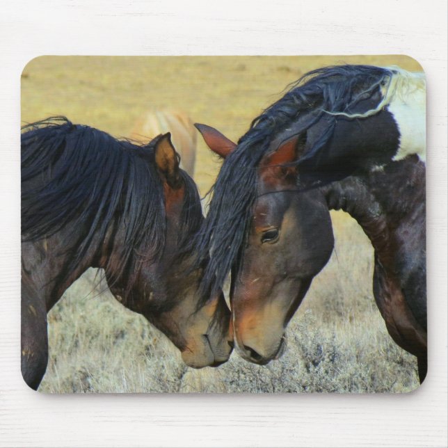 Wild Horses Touching Noses Mousepad (Front)