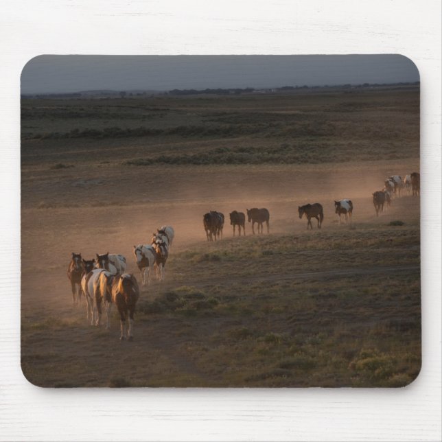 Wild Horses Walking Towards Desert Mouse Pad (Front)