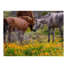 Wild Horses | Wall Art Poster Print
