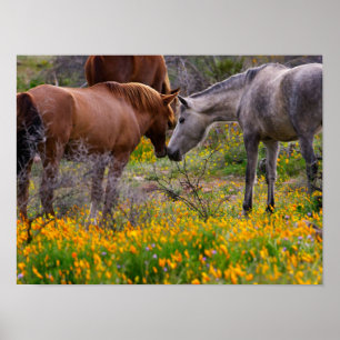 Wild Horses   Wall Art Poster Print