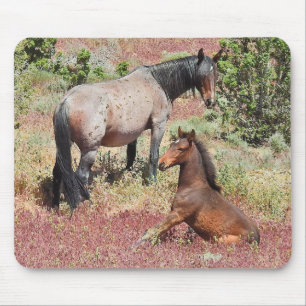 Wild horses, wildlife, mouse pad