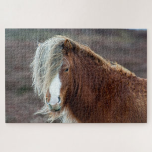 Wild Icelandic Horse in a field Jigsaw Puzzle