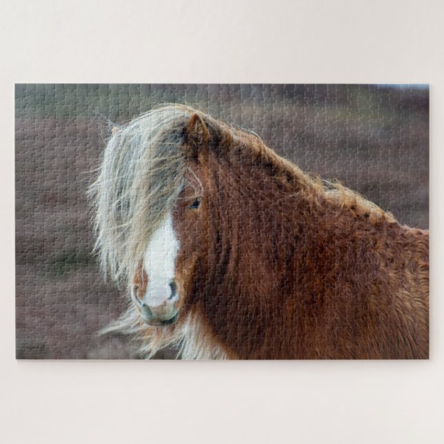 Wild Icelandic Horse in a field Jigsaw Puzzle (Horizontal)