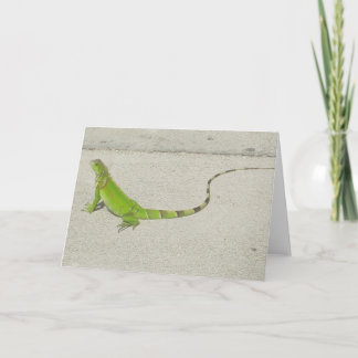 Wild Iguana Card