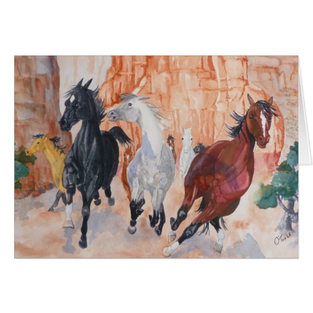 Wild in the Canyons (Front Horizontal)