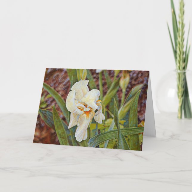 Wild Iris Flower Art Card (Front)