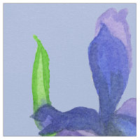 Wild Iris Flowers Purple Watercolor Blue
