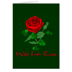 Wild Irish Rose
