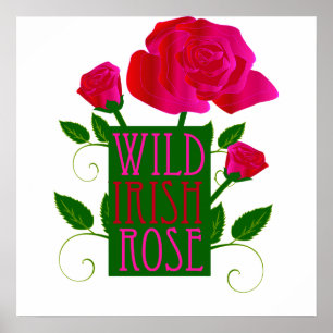 Wild Irish Rose Poster
