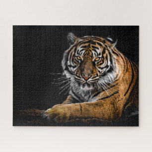 Wild Jungle Animal Tiger Jigsaw Puzzle