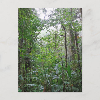 wild jungle postcard
