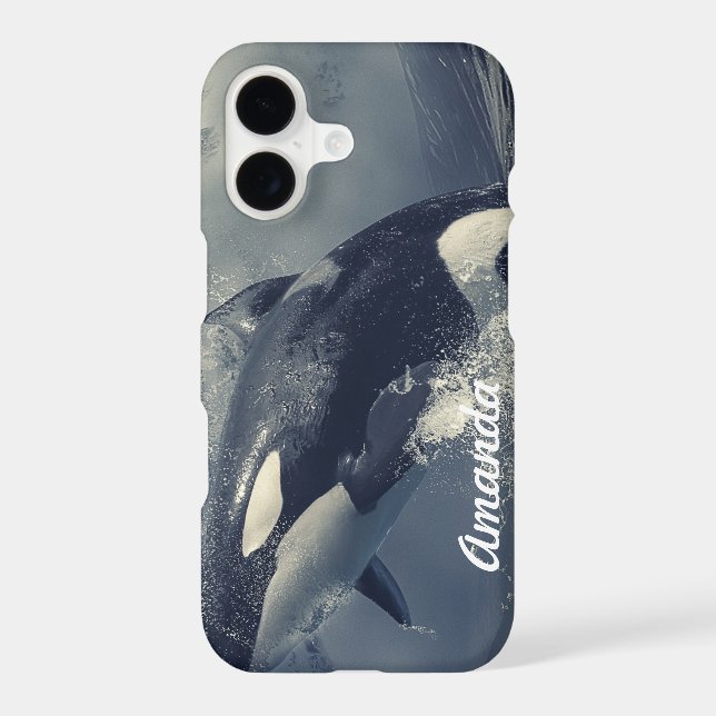 Wild Killer Whale Jumping (Back)