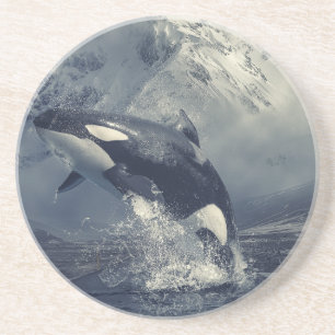 Wild Killer Whale Jumping Coaster