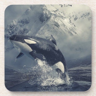 Wild Killer Whale Jumping Coaster
