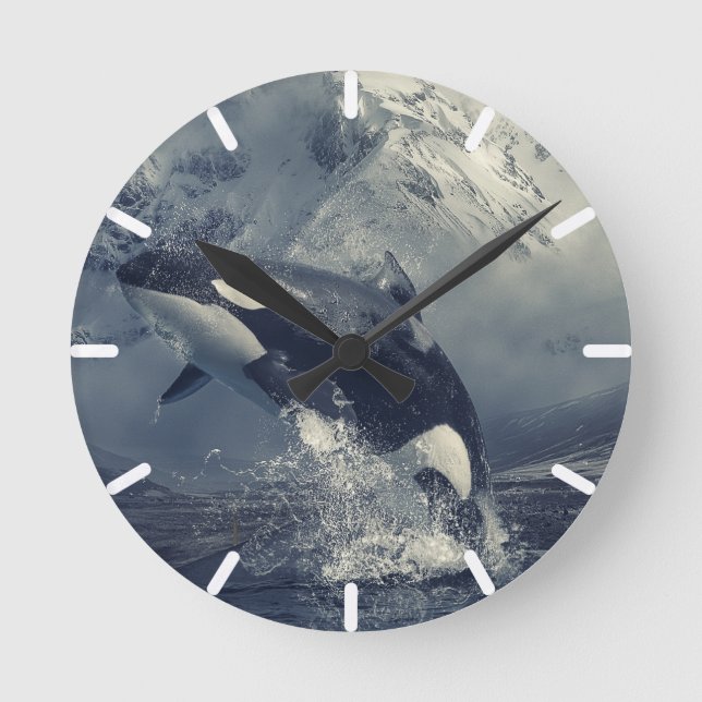Wild Killer Whale Jumping Round Clock (Front)