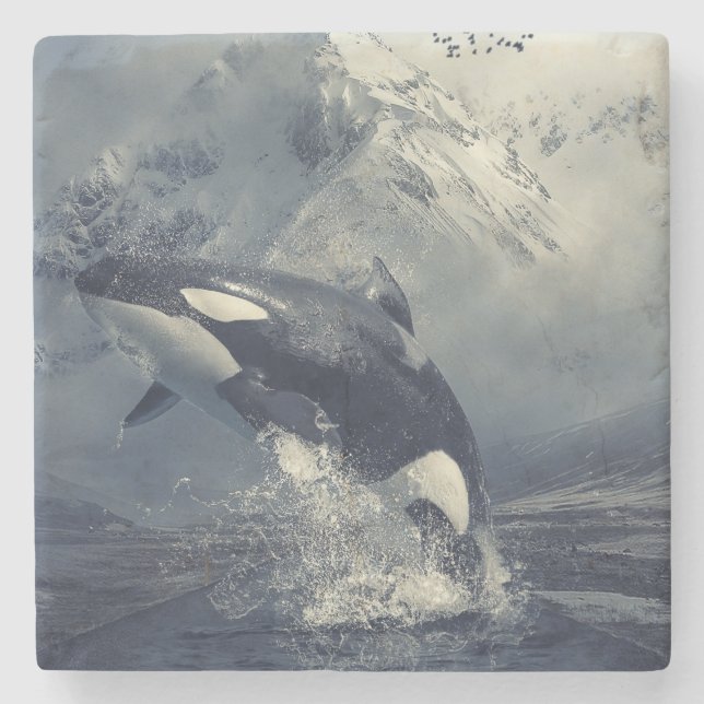 Wild Killer Whale Jumping Stone Coaster (Front)
