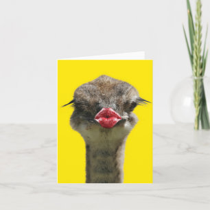 Wild Kisses - Ostrich - Get Well Greeting Card